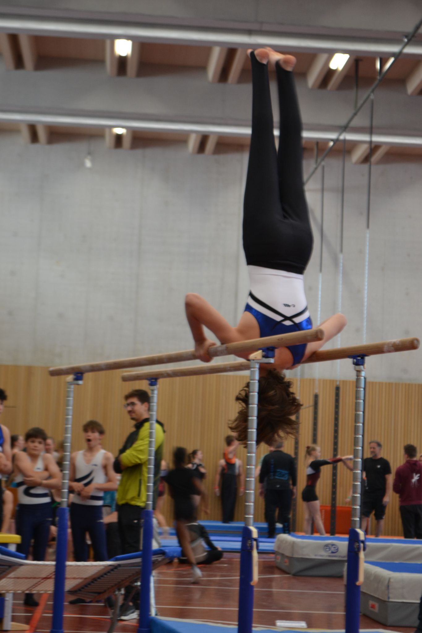 Bild01 (88)